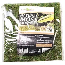 Фон з натурального моху Repti-Zoo Natural Moss Back & Bottom 20x20см 2 шт (NCM2020) для тераріуму - мініатюра 3