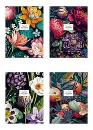 Комплект 4 шт общих тетрадей. Тетрадь Школярик А5 48 л. в линию 5227 4823088237511