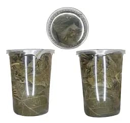 Листья винограда маринованные с солью для долмы молодые ровные, ≈ 50 листиков, 200 г, банка 0,5 л