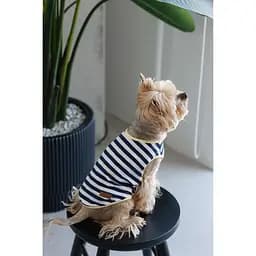 Майка Pet Fashion Tropic для собак L - мініатюра 5