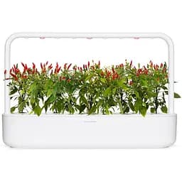 Змінний картридж Click & Grow Smart Garden Пірі-пірі чилі, 3 капсули (1401) - мініатюра 4