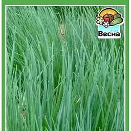 Семена Весна Лук Шнит 0.5 г (20665)