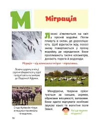 Класна абетка. Тварини - мініатюра 4