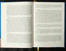 Вінницький ґродський суд. Поточна актова книга за 1768 рік. Подокументний опис - Олександр Петренко - мініатюра 6