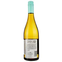 Вино Tierra Antica Chardonnay біле сухе 0.75 л - мініатюра 2