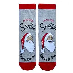 Носки Новогодние мужские из индийского хлопка "Good Santa came twice" 113061