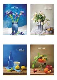 Комплект 4 шт общих тетрадей. Тетрадь Школярик А5 48 л. в линию 5067 4823088207620