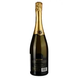 Вино ігристе Cinzano Sweet Edition, 9,5%, 0,75 л - мініатюра 2