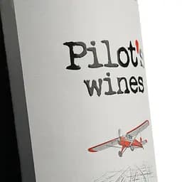 Вино Pilot’s Wines Merlot червоне сухе 0.75 л - мініатюра 6