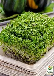 Насіння Agro-Market Мікрозелень Брокколі у банці 2.5 г (45205) - мініатюра 4