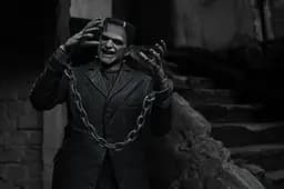 Колекційна фігурка Neca Франкенштейн Ultimate Frankenstein monster 18 см WST movies F 02 Neca - мініатюра 6