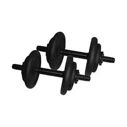 Гантели наборные литые 2 шт по 8,5 кг NE-300-GP009-2