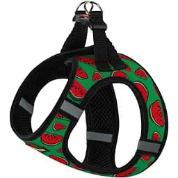 Шлея для собак Bronzedog Sport Vest Арбуз S 20х16х3 см зеленая