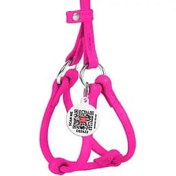 Шлея з повідцем для собак Waudog Glamour, шкіряна, кругла, з QR паспортом, 26-46х30-50х0,6/105 см, рожевий (34017) - мініатюра 2