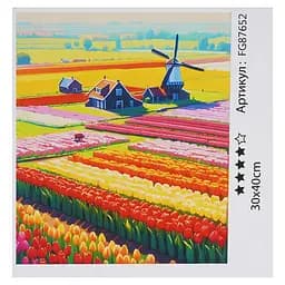 Набір для розпису по номерах Fun Game, FG87652