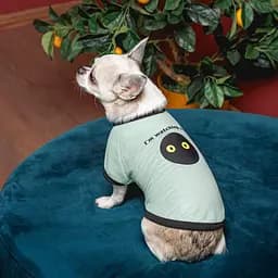 Фут болка Pet Fashion Oscar для собак бавовна трикотаж рибана блакитна L - мініатюра 4