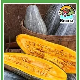 Семена Весна Тыква Голубой банан Зипер 4 г (184216)