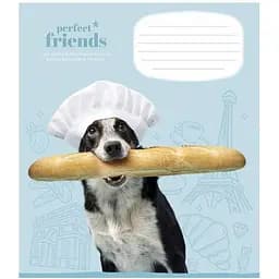 Зошит учнівський "Perfect friends" Школярик 012-3250K 12 аркушів (482000647043203250)(SC)