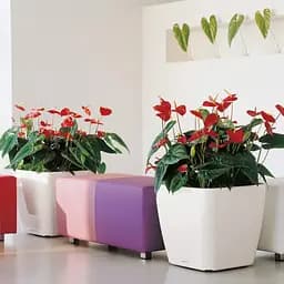 Вазон Lechuza Quadro Premium LS, 53 л, сіро-коричневий (16285) - мініатюра 6