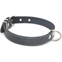 Нашийник для собак Zoo-hunt шкіряний О чорний 1,8/28-36 см