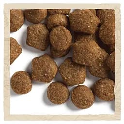 Сухий корм для цуценят Dog Chow Puppy <1, з ягням, 2,5 кг - мініатюра 6