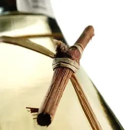 Вино Tralcetto Pino Grigio IGT, сухе, біле, 12,5%, 0,75 л (ALR13400) - мініатюра 4