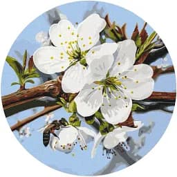Картина по номерам Brushme Яблоневый цвет © Anastasiia Osmolovska 40x40 см