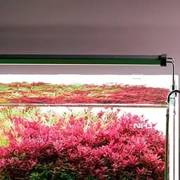 Світильник Chihiros B-Series B60 LED 60-80 см розумне RGB-освітлення для акваріума - мініатюра 7