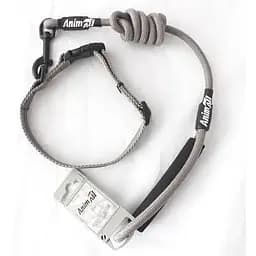 Нашийник з повідцем для собак AnimAll M, сірий