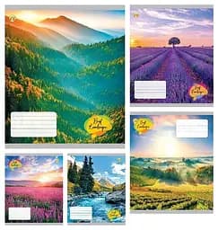 Тетради ученические 24 листа клетка Тверда ТЕ41303 Пейзажи, 20 шт. в упаковке