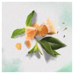 Шампунь для сухої шкіри голови Herbal Essences Алое та авокадо 380 мл - мініатюра 2