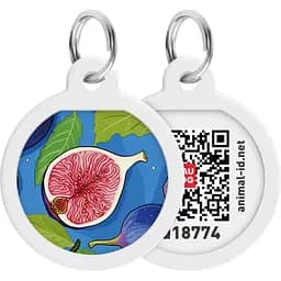 Адресник для собак і котів Waudog Smart ID з QR паспортом Інжир коло 30 мм