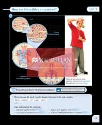 Macmillan Natural and Social Science. Level 5. Pupil's Book - мініатюра 8