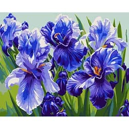 Картина за номерами Santi Блакитні іриси, 40х50 см (954501)