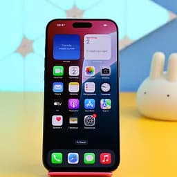 Смартфон Apple iPhone 16 Pro Max 256GB Black Titanium (MYWV3) Б/В [152130]
