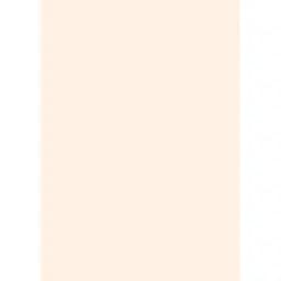 Папір для дизайну Folia Tintedpaper А4 (21x29.7см) №43 тілесний 130г/м2 без текстури