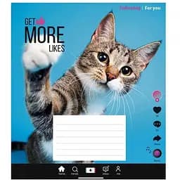 Зошит учнівський Influencer Школярик 012-3260L-5 до лінії 12 аркушів