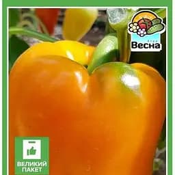 Семена Весна Перец Оранжевое чудо Большой пакет 0.3 г (32543)