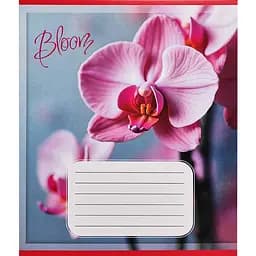 Тетрадь ученическая Орхидеи 018-530261K-1 в клетку, 18 листов
