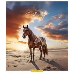 Зошит учнівський "Four seasons" 048-3403L-3 у лінію, 48 аркушів