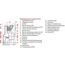 Газовий котел Protherm Lynx Condens 25/30 MKV-A (H-UA) (Рись Конденс) - мініатюра 5