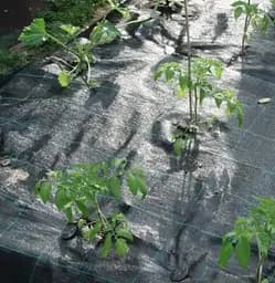 Агротканина Shadow Delux 120 г/м² 1.1 x 50 м (АТЧД00015) - мініатюра 2