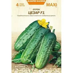 Семена огурца Насіння України Maxi Цезарь F1 4 г (680300)