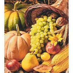 Алмазна мозаїка Осінній врожай SK88252 40х50 см