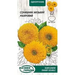 Семена Подсолнечник низкий махровый Насіння України 1 г (799800)