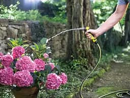 Шланг садовий Performance Plus 5/8" 25м 3 шари до 40бар -20…+60°C Karcher sad0001889 - мініатюра 3