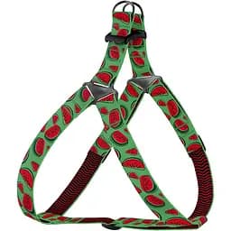 Шлея для собак BronzeDog Urban Fruits Кавун S 40-53 см