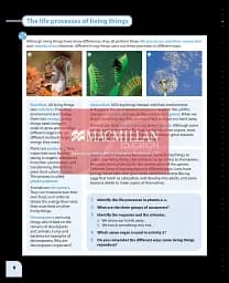 Macmillan Natural and Social Science. Level 5. Pupil's Book - мініатюра 5