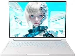 Ноутбук Thunderobot RS16 (RS16-i7136HX56C1Q180RC)