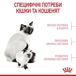 Сухий корм для кошенят Royal Canin Mother and Babycat м'ясо птиці та рис 2 кг - мініатюра 4